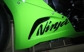 KAWASAKI NINJA ZX-6R A 2025 ZX636J