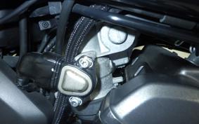HONDA REBEL 1100 DCT 2021 SC83