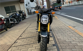 HONDA GROM JC92