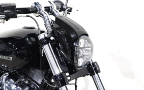 HARLEY FXBRS 2021 YHK