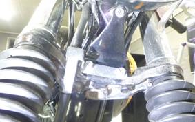 KAWASAKI W800 2016 EJ800A