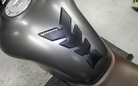 HONDA VTR 250 Gen. 2 MC33