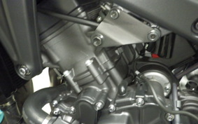 YAMAHA MT-09 2025 RN87J