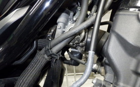 HONDA REBEL 250 A MC49