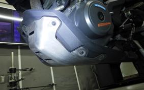 KTM 250 ADVENTURE