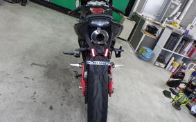 OTHER +ﾒｶﾞﾘ250R 2023