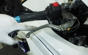 SUZUKI GSX-R1000 2012