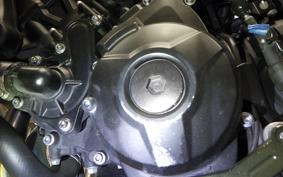 YAMAHA MT-09 ASP 2019 RN52J