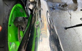 KAWASAKI ZX900R NINJA 2002 ZX900E