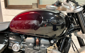 TRIUMPH SPEED TWIN 1200 2024 DAD85H