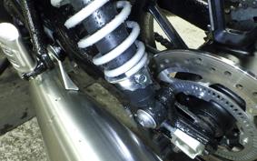 TRIUMPH SPEED TWIN 900 2024