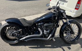 HARLEY FXBRS 2018 YHK