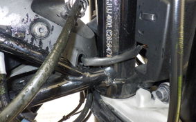 HUSQVARNA SVARTPILEN 401 2021