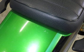 KAWASAKI ZRX1200 D 2013 ZRT20D