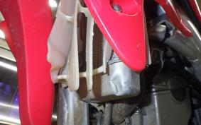 HONDA CRF250X 2025