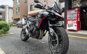TRIUMPH TIGER 900GT PRO 2024 TRC82D