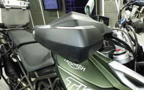 TRIUMPH TIGER 800 2019