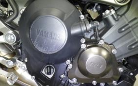 YAMAHA MT-09 2014 RN34J