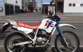 HONDA XL250 DEGREE MD26