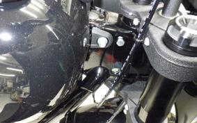 HARLEY FXLRST1920 2025