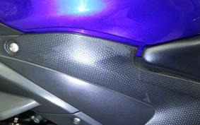 YAMAHA YZF-R25 RG10J