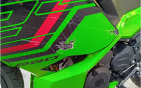 KAWASAKI NINJA 250 KRT ED EX250Y