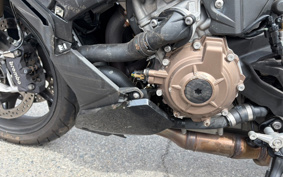 BMW S1000R 2023 0E51