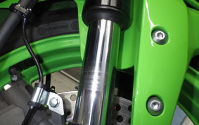 KAWASAKI ZX-4RR 2024 ZX400P