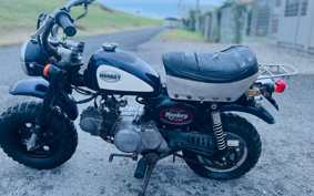 HONDA MONKEY Z50J