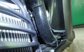 YAMAHA N-MAX SEG6J