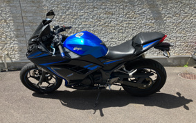 KAWASAKI NINJA 250 EX250L