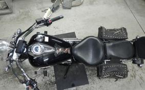 YAMAHA DRAGSTAR 250 2025 VG05J