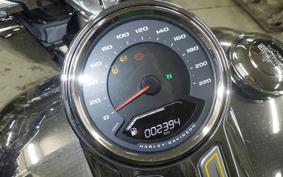 HARLEY FLSTFI1920 2025