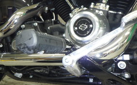 HARLEY FXST1750 2025