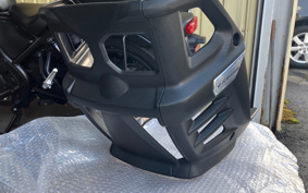 SUZUKI DL650 ( V-Strom 650 ) 2025 C733M
