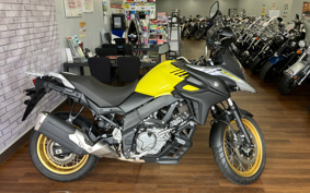 SUZUKI DL650 ( V-Strom 650 ) 2019 C733A