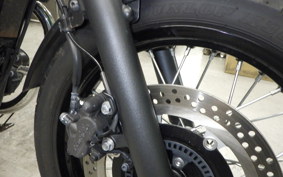 KAWASAKI W800 CAFE 2019 EJ800B