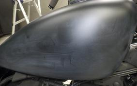 HARLEY XL883N 2015