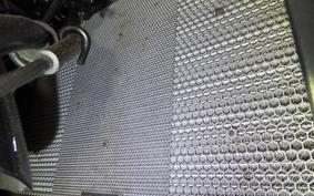 KAWASAKI NINJA 1000 2019 ZXT00W