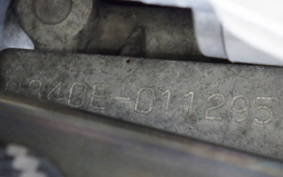 YAMAHA TRICKER DG10J