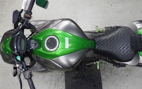KAWASAKI Z1000 Gen.5 2015