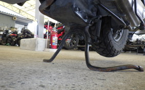 HONDA ZOOMER AF58