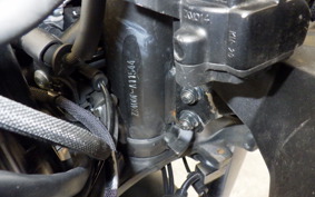 KAWASAKI ZX-4RR 2023