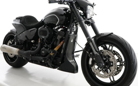 HARLEY FXDRS 2020 YVK