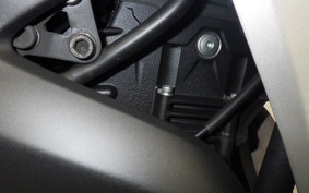 YAMAHA YZF-R25 2015 RG10J