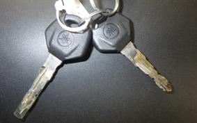 YAMAHA YZF-R25 2007 RG10J