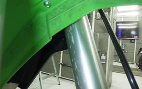 KAWASAKI KLX250D TRACKER X LX250V