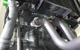 KAWASAKI Z250 Gen.2 2024 EX250Y