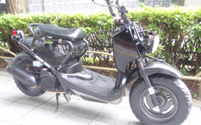 HONDA ZUMAR AF58