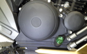 YAMAHA FZS25 2015